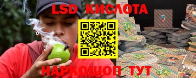 apvp Камышлов