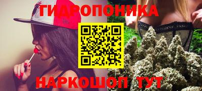 дживик Кандалакша