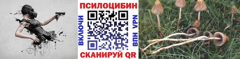 Псилоцибиновые грибы Psilocybine cubensis  дарнет шоп  Салават 