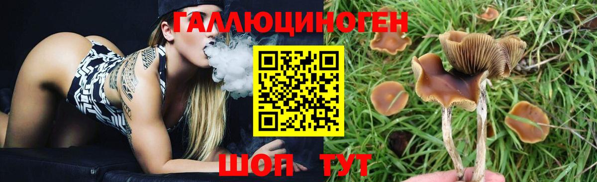 Псилоцибиновые грибы MAGIC MUSHROOMS  Галлюциногенные грибы Psilocybine cubensis  Вход с VPN  Салават 